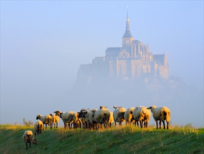 Mont-Saint-Michel-Normandy_R.jpg