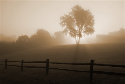 fog_R.jpg