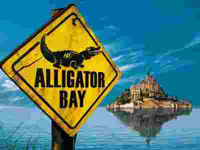 alligator_R.jpg